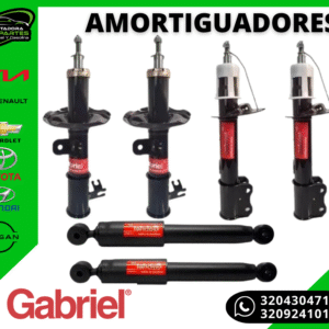 Amortiguador Gabriel