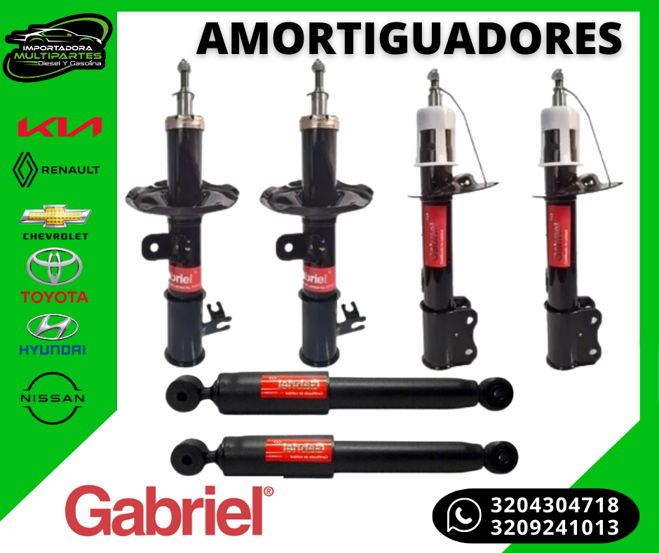 Amortiguador Gabriel